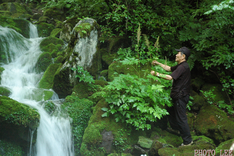 1a7b13c2cac2b8f943e454888407c22b_1751769872_9815.jpg 1a7b13c2cac2b8f943e454888407c22b_1751769872_9815.jpg