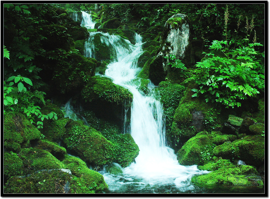 1a7b13c2cac2b8f943e454888407c22b_1751769873_0291.jpg 1a7b13c2cac2b8f943e454888407c22b_1751769873_0291.jpg