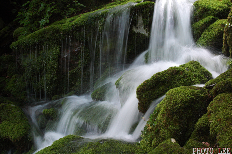 1a7b13c2cac2b8f943e454888407c22b_1751769873_0505.jpg 1a7b13c2cac2b8f943e454888407c22b_1751769873_0505.jpg