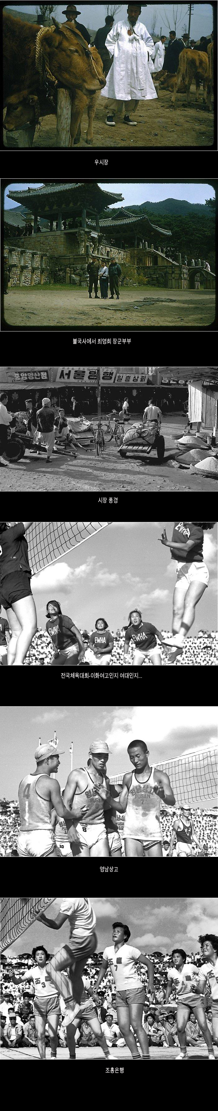 45717bce9d5cea5eedfeb13863f0a5ce_1752358213_6668.jpg 45717bce9d5cea5eedfeb13863f0a5ce_1752358213_6668.jpg