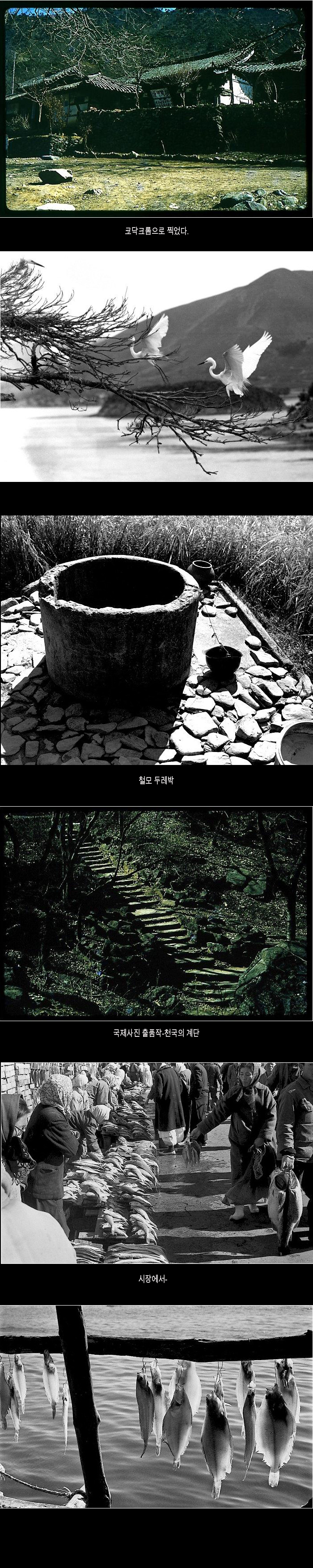 45717bce9d5cea5eedfeb13863f0a5ce_1752358213_8401.jpg 45717bce9d5cea5eedfeb13863f0a5ce_1752358213_8401.jpg