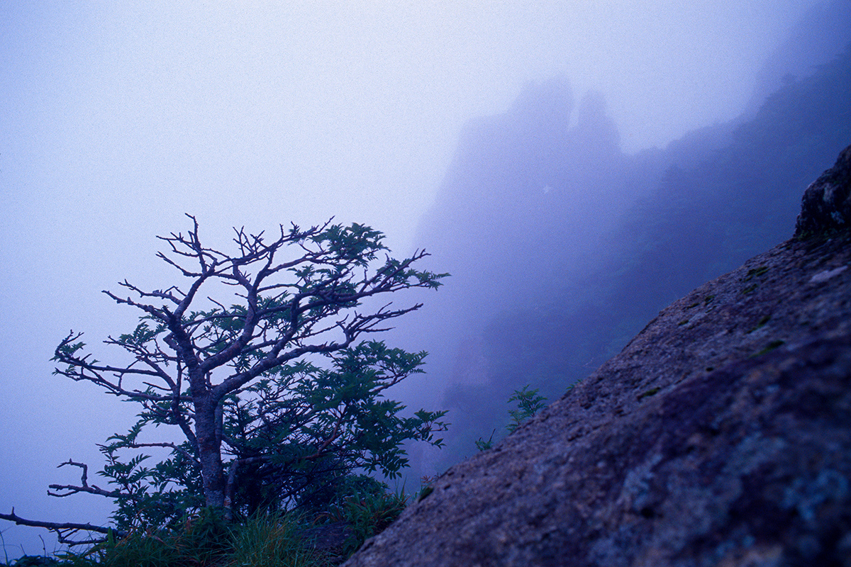 5822623b706bbed005548022be43b22a_1752096215_4026.jpg 5822623b706bbed005548022be43b22a_1752096215_4026.jpg