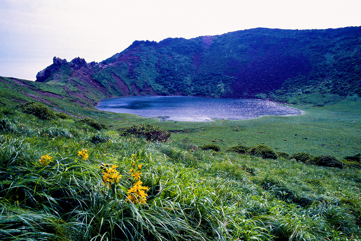 5822623b706bbed005548022be43b22a_1752096215_8241.jpg 5822623b706bbed005548022be43b22a_1752096215_8241.jpg