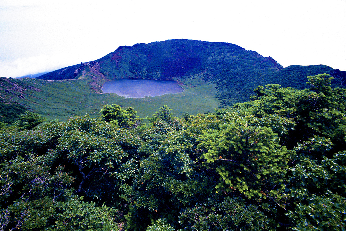 5822623b706bbed005548022be43b22a_1752096215_9746.jpg 5822623b706bbed005548022be43b22a_1752096215_9746.jpg