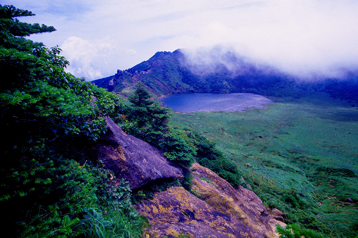 5822623b706bbed005548022be43b22a_1752096216_2815.jpg 5822623b706bbed005548022be43b22a_1752096216_2815.jpg