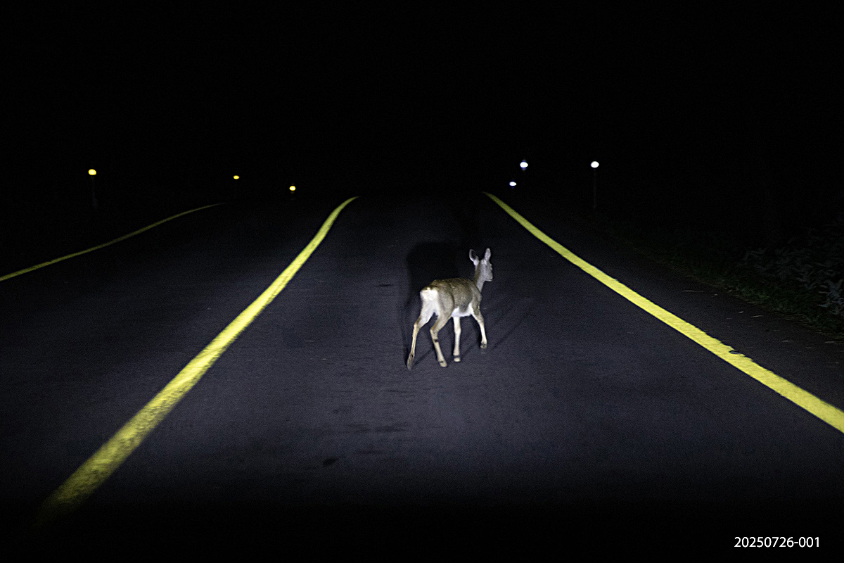 e931945bcdb37b8b637ae37ef25053be_1753527565_3544.jpg e931945bcdb37b8b637ae37ef25053be_1753527565_3544.jpg