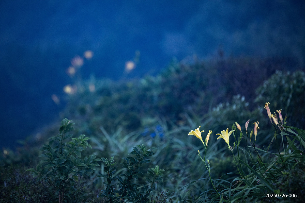 e931945bcdb37b8b637ae37ef25053be_1753527565_4251.jpg e931945bcdb37b8b637ae37ef25053be_1753527565_4251.jpg