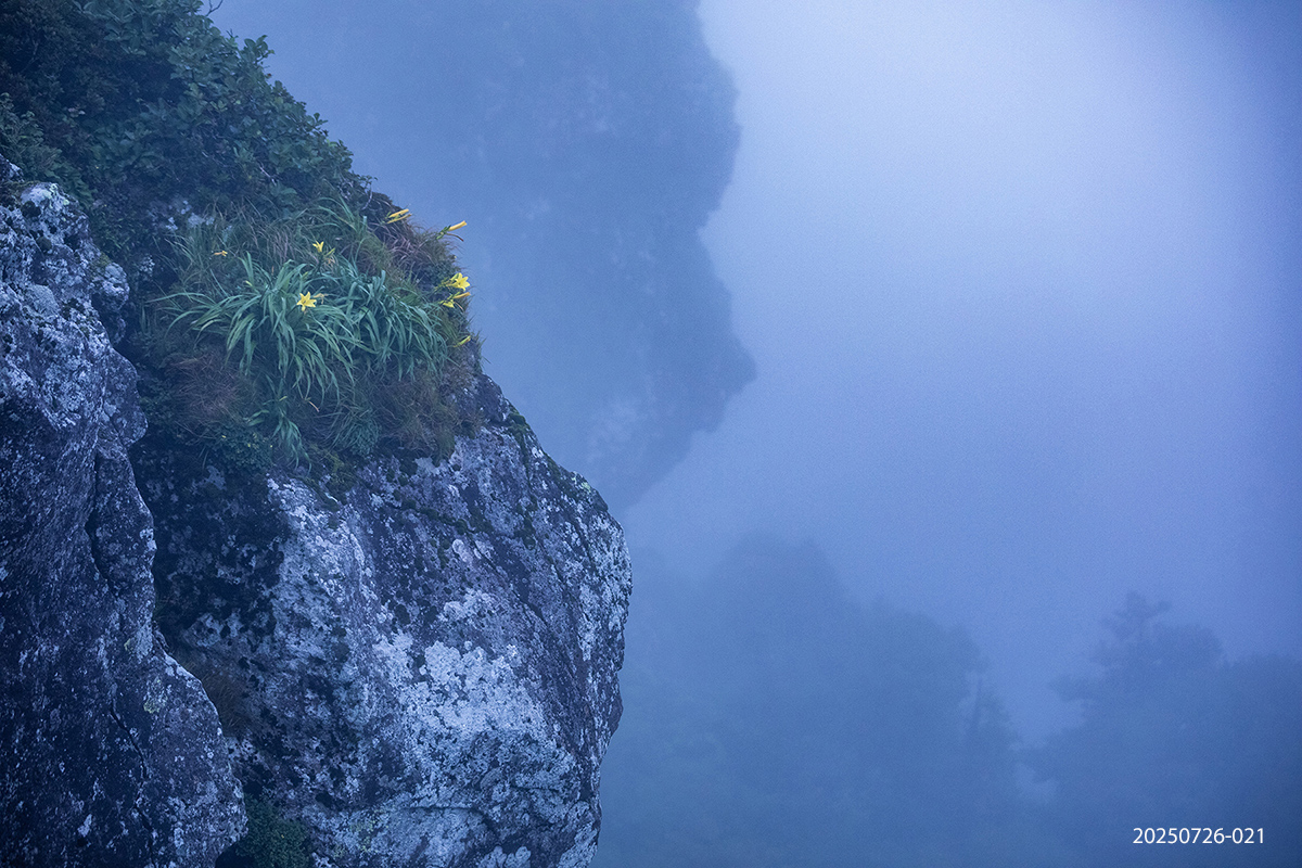 e931945bcdb37b8b637ae37ef25053be_1753527565_5058.jpg e931945bcdb37b8b637ae37ef25053be_1753527565_5058.jpg