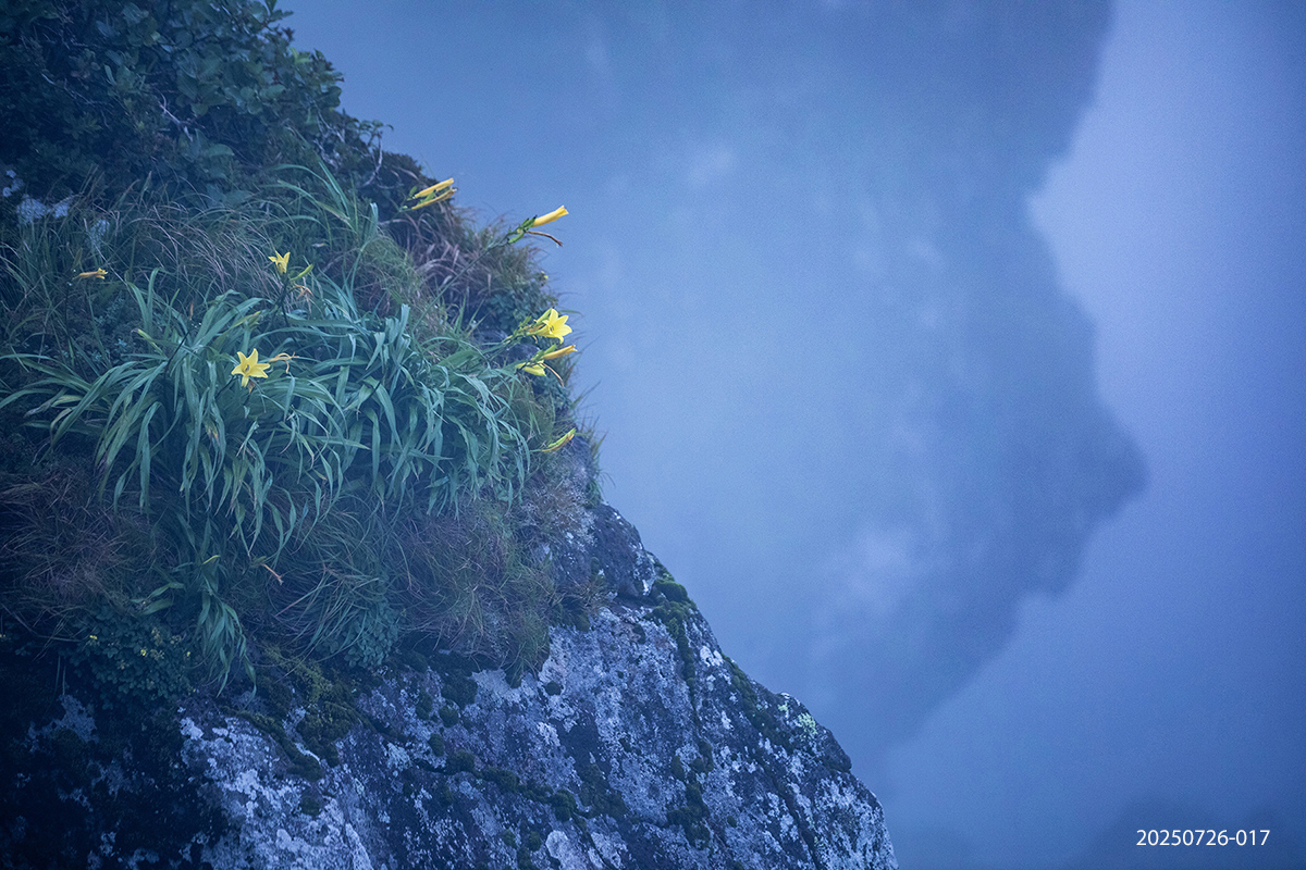 e931945bcdb37b8b637ae37ef25053be_1753527565_5909.jpg e931945bcdb37b8b637ae37ef25053be_1753527565_5909.jpg