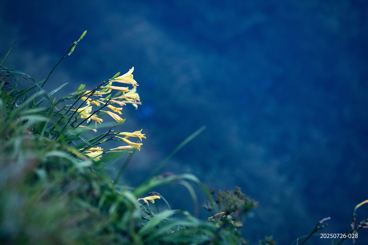 e931945bcdb37b8b637ae37ef25053be_1753527565_6605.jpg e931945bcdb37b8b637ae37ef25053be_1753527565_6605.jpg