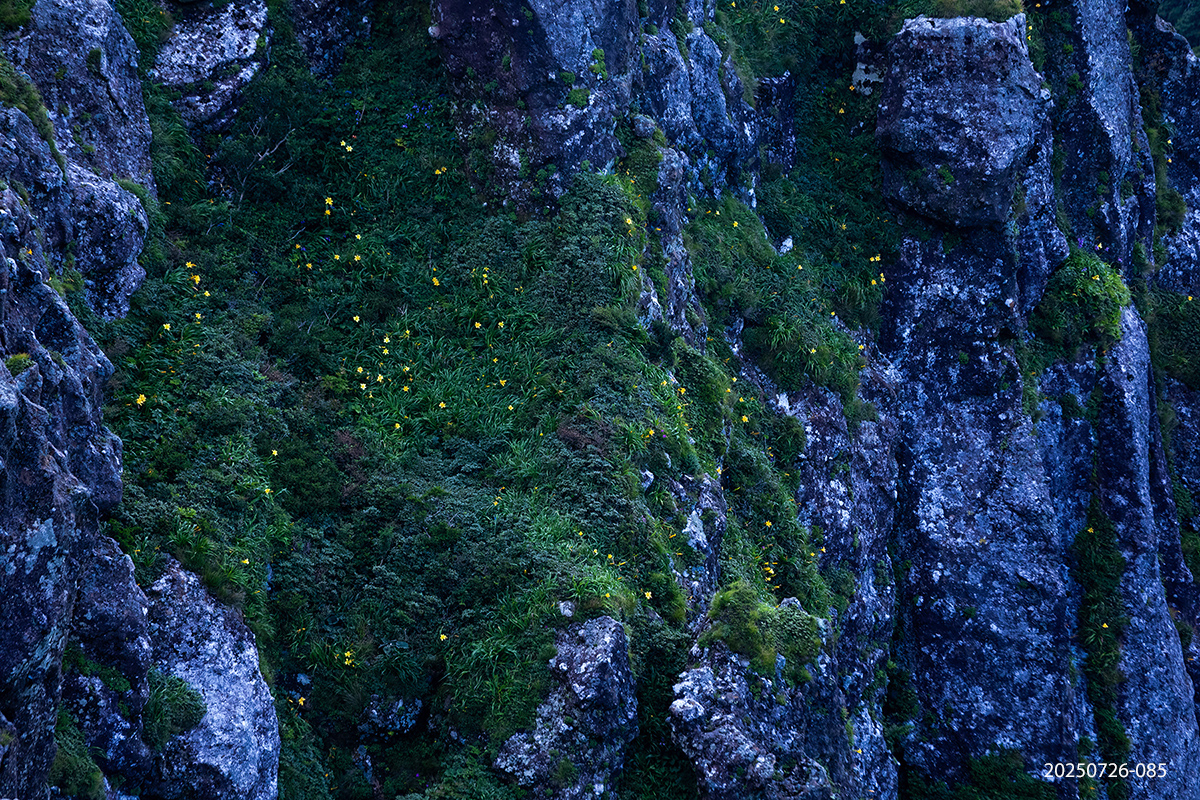 e931945bcdb37b8b637ae37ef25053be_1753527566_1124.jpg e931945bcdb37b8b637ae37ef25053be_1753527566_1124.jpg