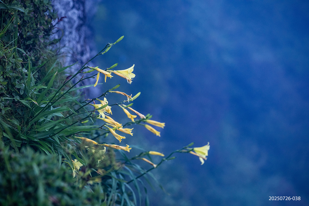 e931945bcdb37b8b637ae37ef25053be_1753529195_8117.jpg e931945bcdb37b8b637ae37ef25053be_1753529195_8117.jpg