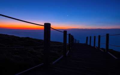 한라산의 여름-10