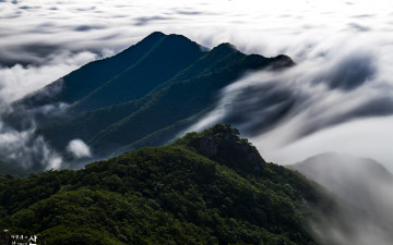 남서풍 불던날~