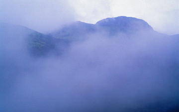 한라산의 여름-3