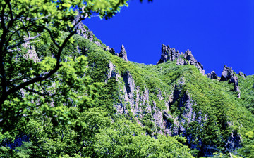 한라산의 여름-18