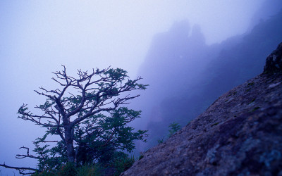 한라산의 여름-8