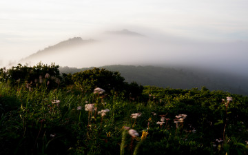 섬이 된 향적봉