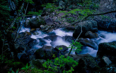 한라산의 여름-2