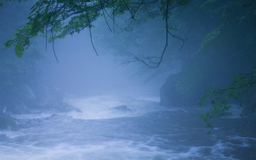 한라산의 여름-20