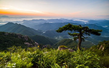 대둔산의 여름.