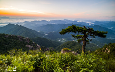 대둔산의 여름.