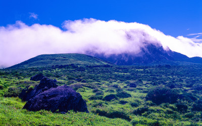 한라산의 여름-17