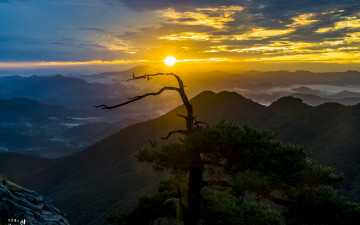 눈부신 아침햇살!!!