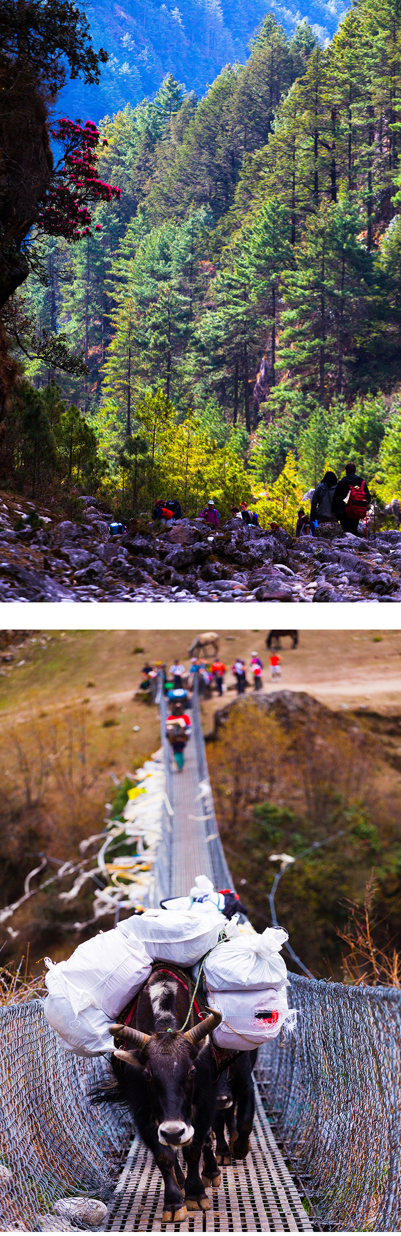 8ae9042483d2cbd76929351decbc205f_1754255600_9795.jpg 8ae9042483d2cbd76929351decbc205f_1754255600_9795.jpg