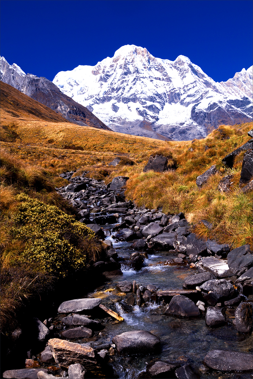 e5255b033e8ca5d0cdc06909d44b89b2_1755689940_1874.jpg e5255b033e8ca5d0cdc06909d44b89b2_1755689940_1874.jpg