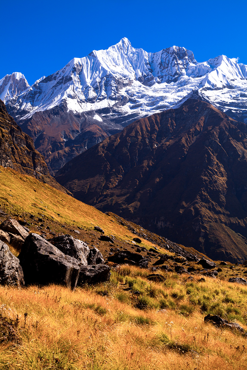 e5255b033e8ca5d0cdc06909d44b89b2_1755689940_625.jpg e5255b033e8ca5d0cdc06909d44b89b2_1755689940_625.jpg