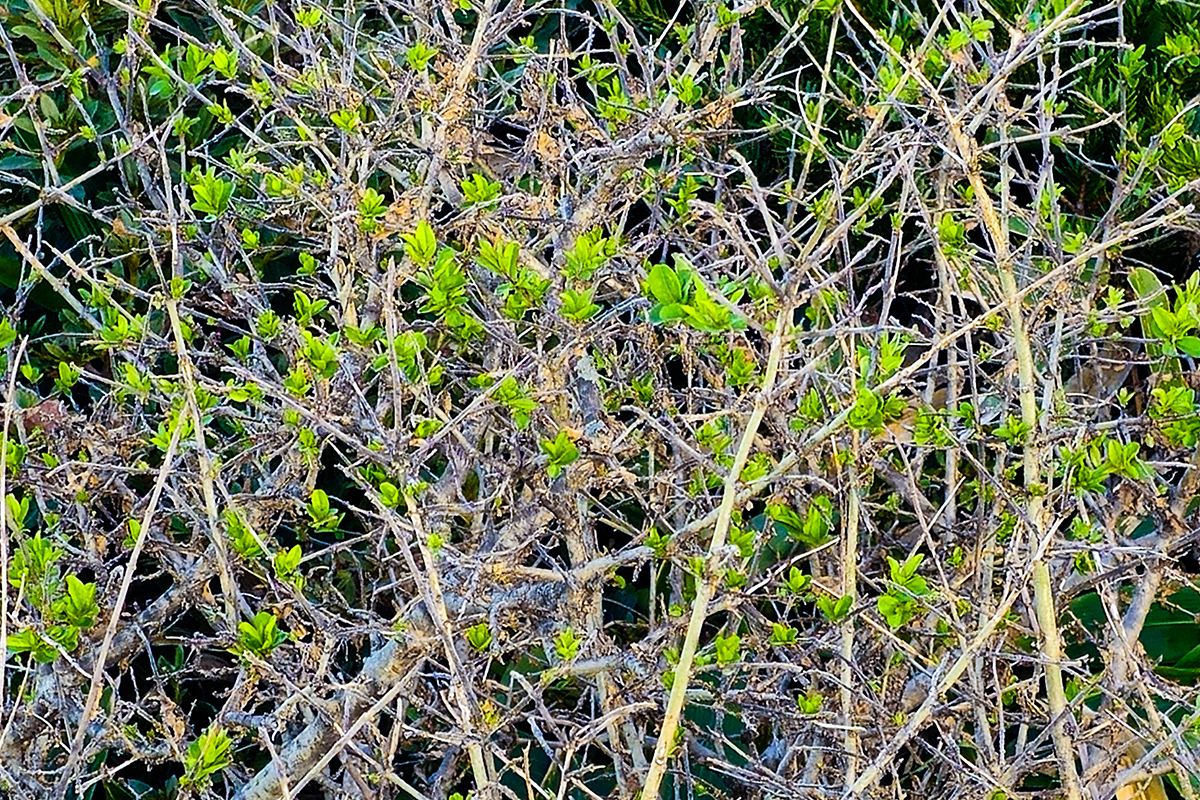 ef2e082e29c1662e782af55246791f4f_1755293910_725.jpg ef2e082e29c1662e782af55246791f4f_1755293910_725.jpg