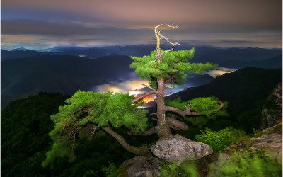 일출을 기다리며~ !!!