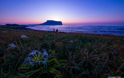성산도 산이지요~~~~ㅎㅎㅎㅎ