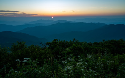 덕유의 여름아침