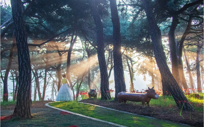 석불산에서  !!!