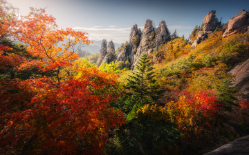 단풍이 물든 용아장성