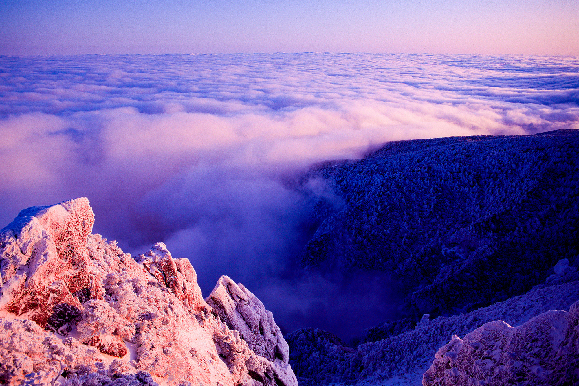 26134687c5f02f2a1a489c69663e43c8_1764262878_2228.jpg 26134687c5f02f2a1a489c69663e43c8_1764262878_2228.jpg