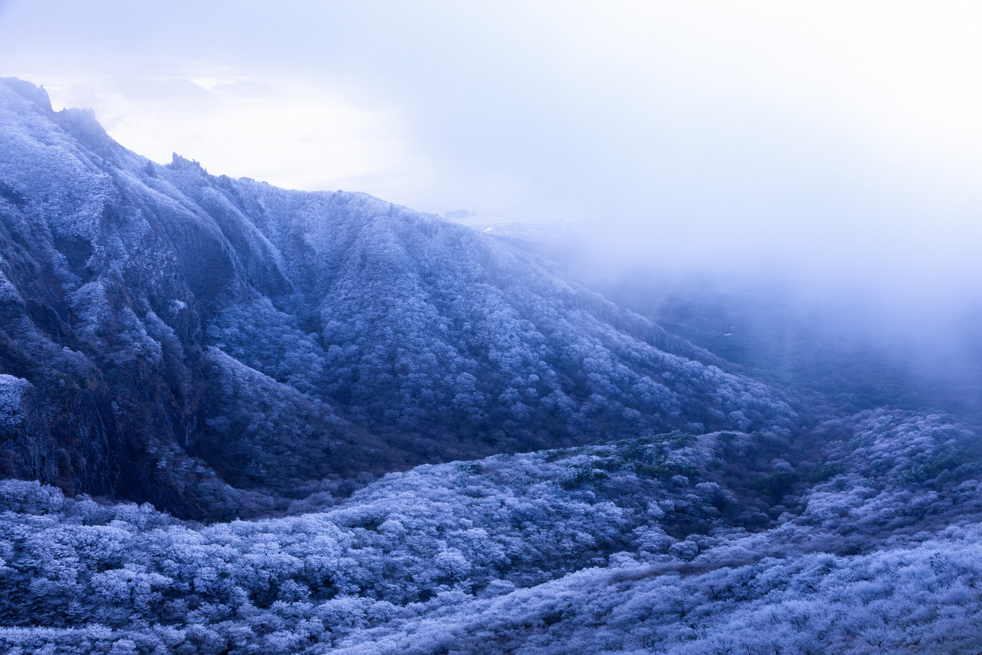 3b6152bf205e88c66436c89f3c235578_1763486602_6468.jpg 3b6152bf205e88c66436c89f3c235578_1763486602_6468.jpg