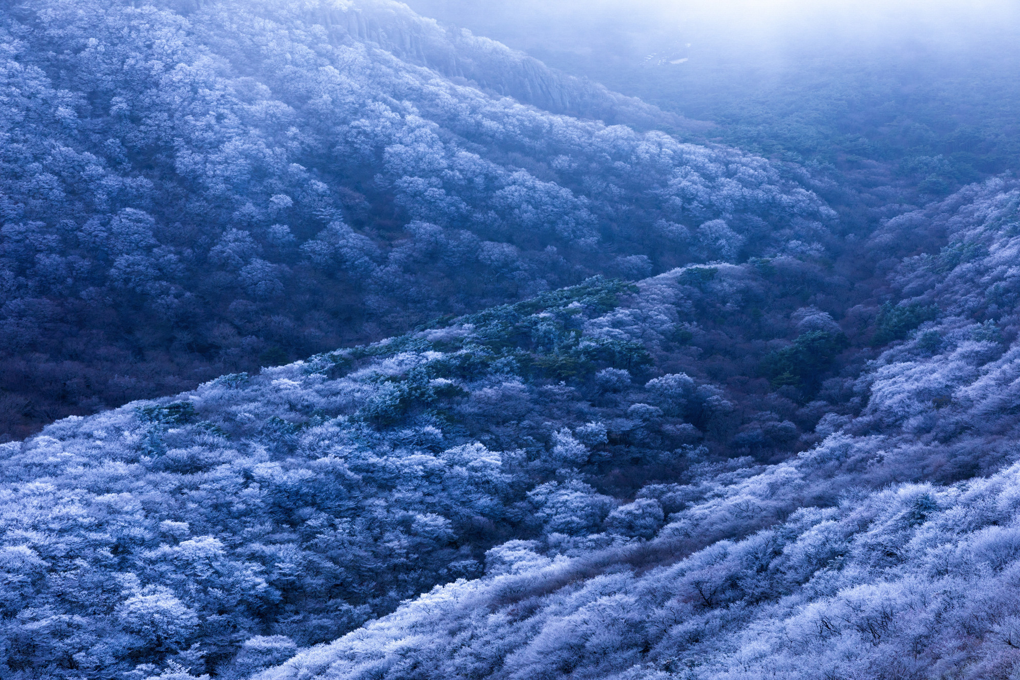 3b6152bf205e88c66436c89f3c235578_1763486603_8141.jpg 3b6152bf205e88c66436c89f3c235578_1763486603_8141.jpg