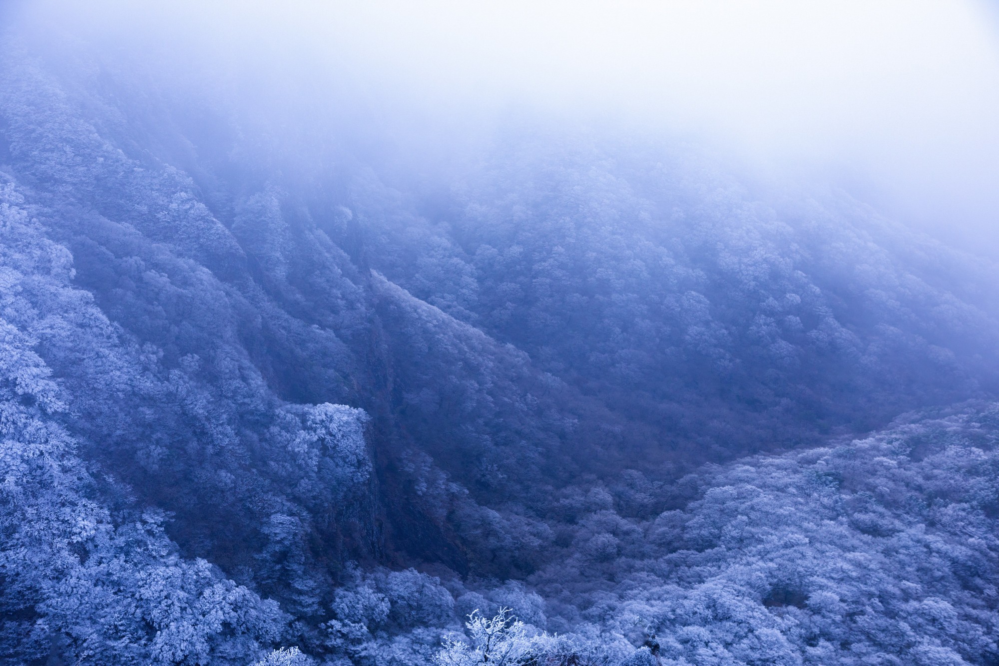 3b6152bf205e88c66436c89f3c235578_1763486604_8318.jpg 3b6152bf205e88c66436c89f3c235578_1763486604_8318.jpg