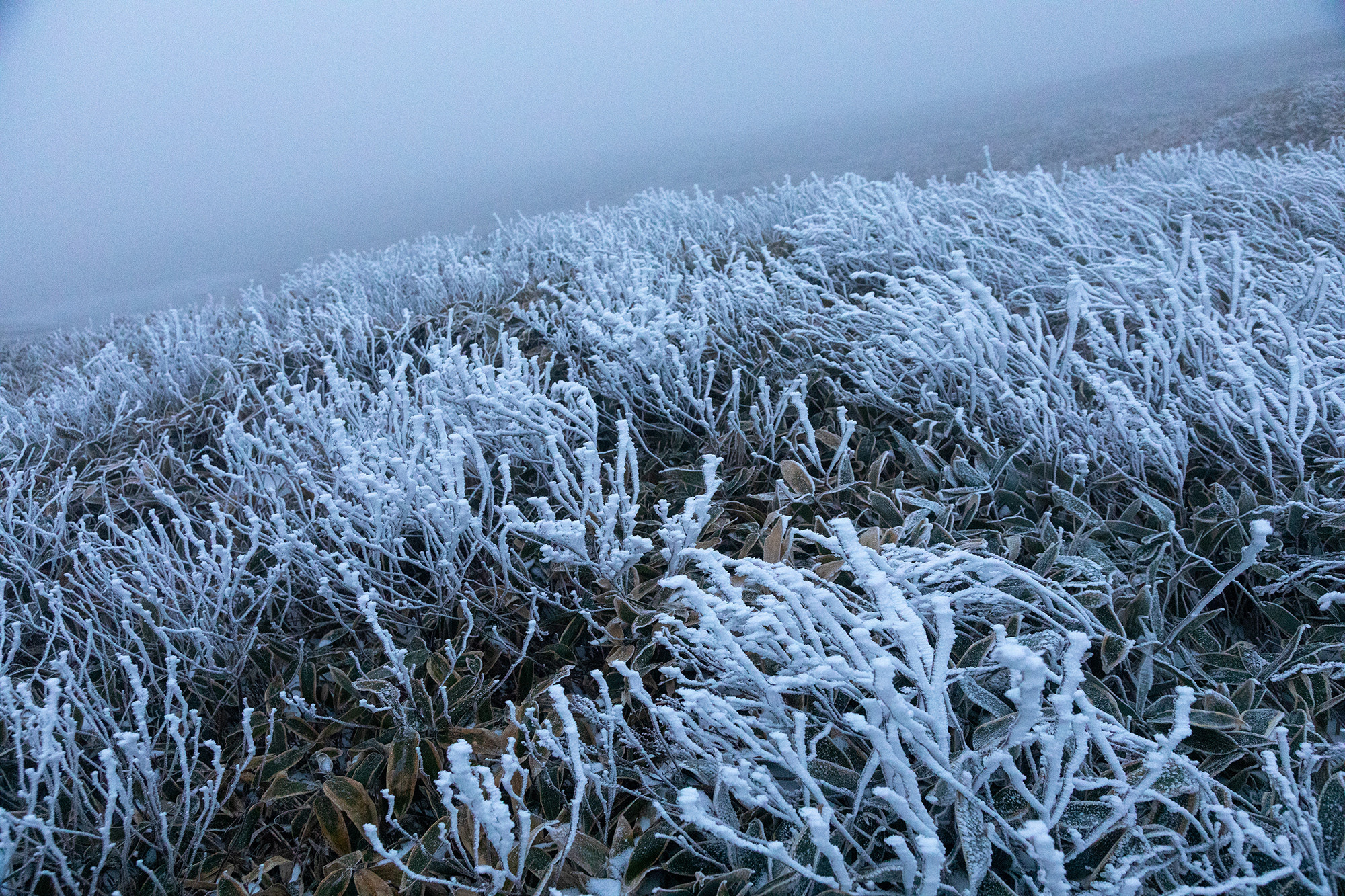 9130128edd2e55df41522427b16daf9b_1764373078_5117.jpg 9130128edd2e55df41522427b16daf9b_1764373078_5117.jpg