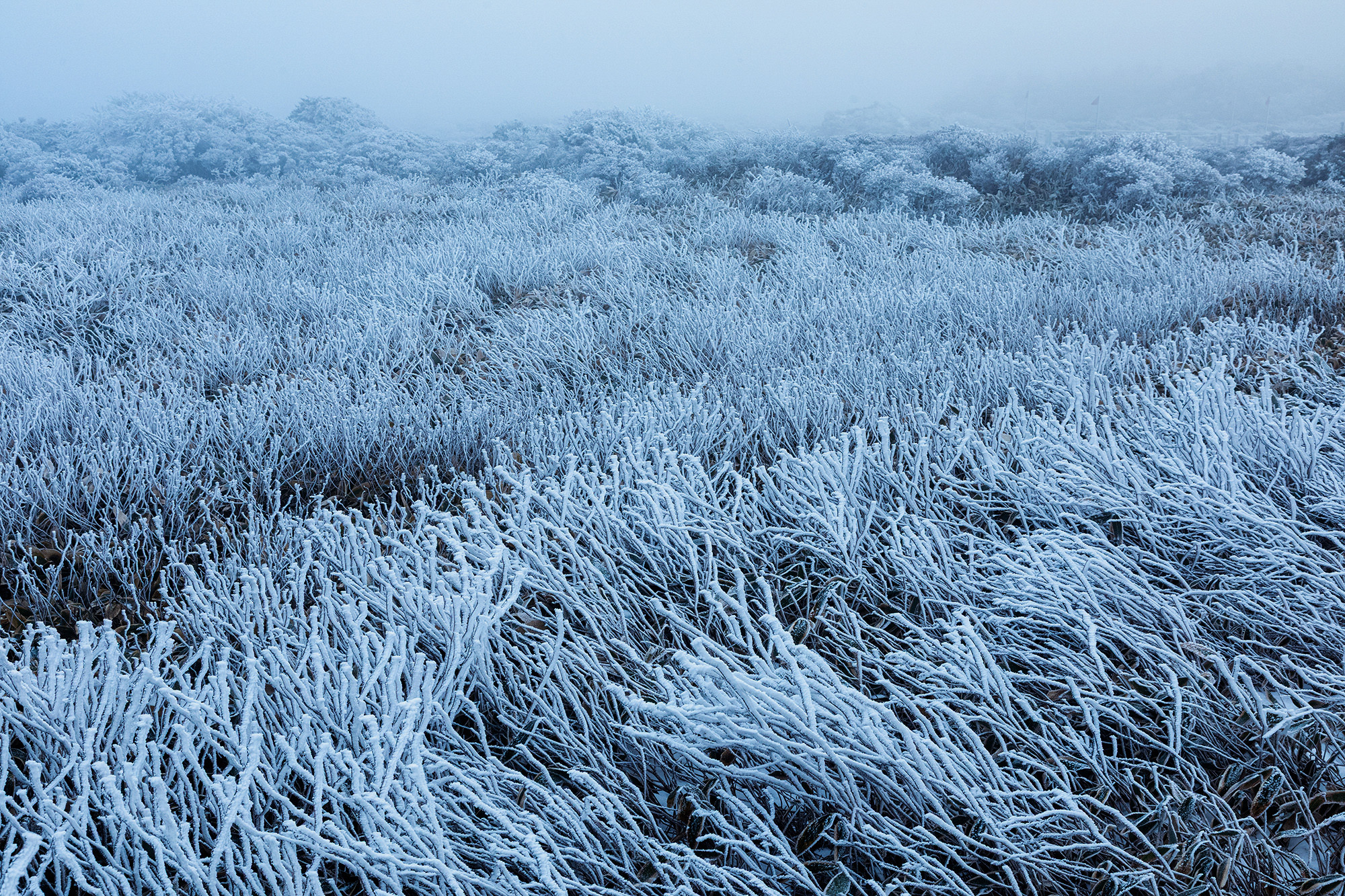 9130128edd2e55df41522427b16daf9b_1764373078_9334.jpg 9130128edd2e55df41522427b16daf9b_1764373078_9334.jpg