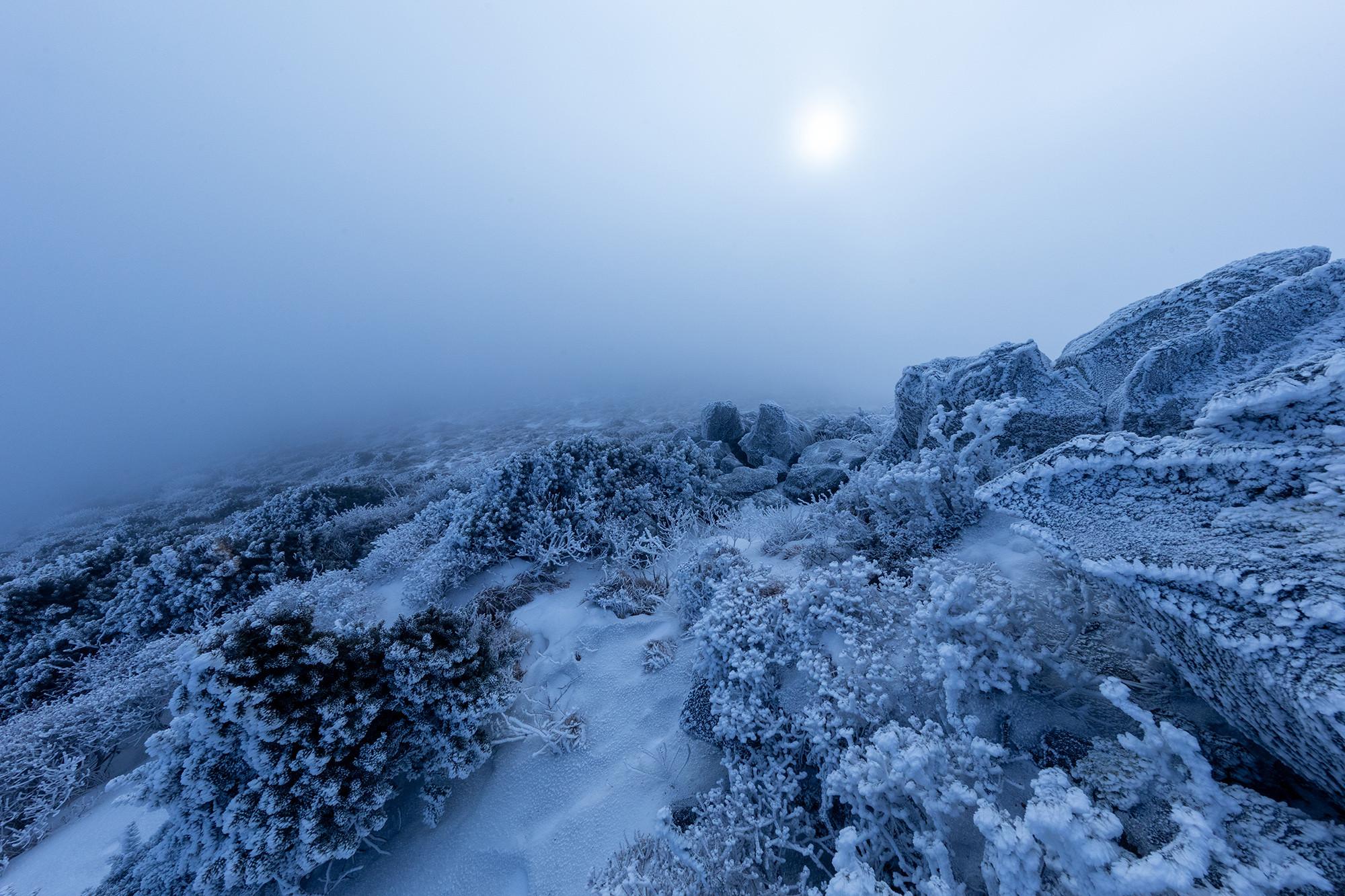 9130128edd2e55df41522427b16daf9b_1764373079_2822.jpg 9130128edd2e55df41522427b16daf9b_1764373079_2822.jpg