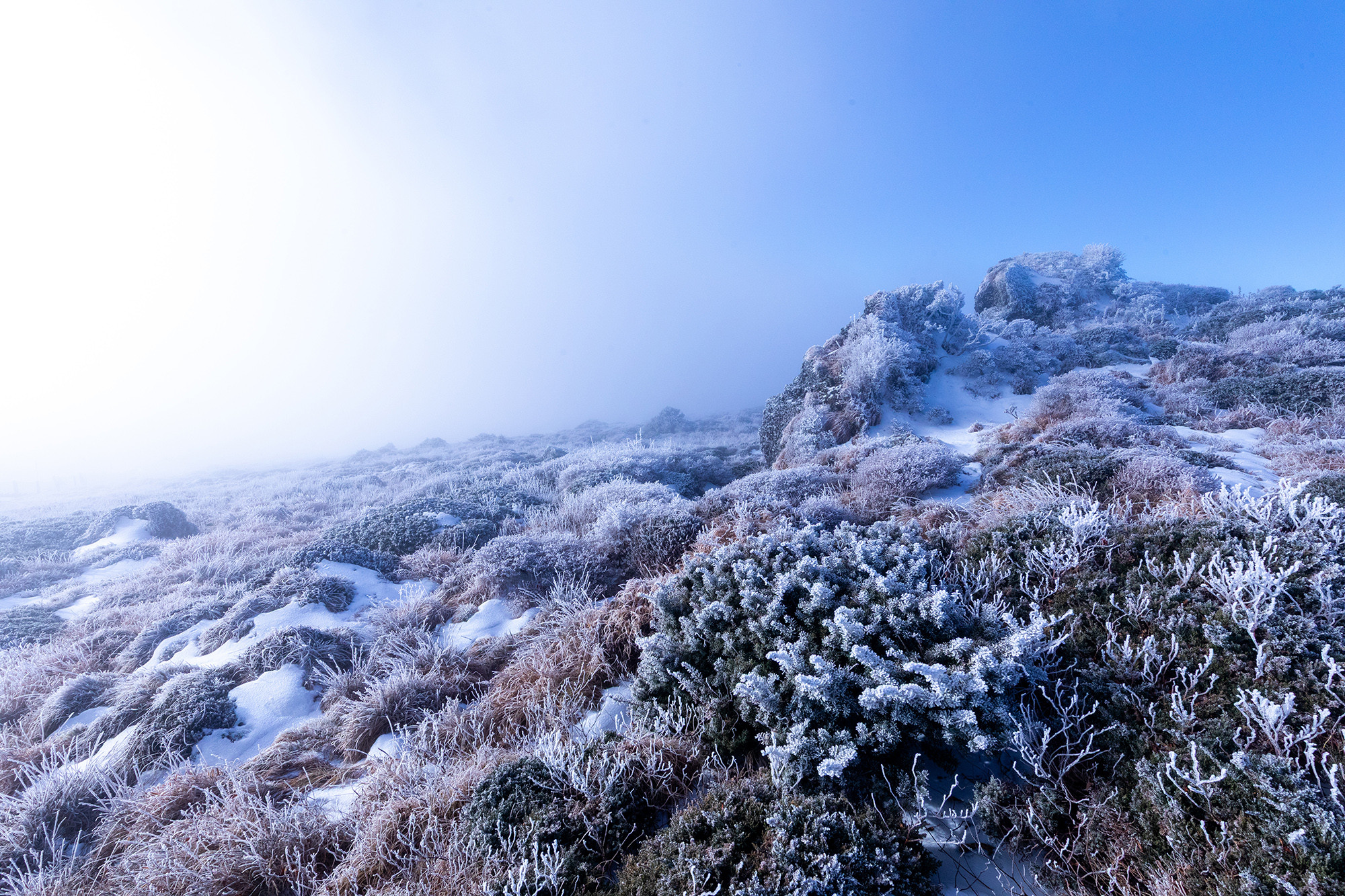 9130128edd2e55df41522427b16daf9b_1764373079_6154.jpg 9130128edd2e55df41522427b16daf9b_1764373079_6154.jpg