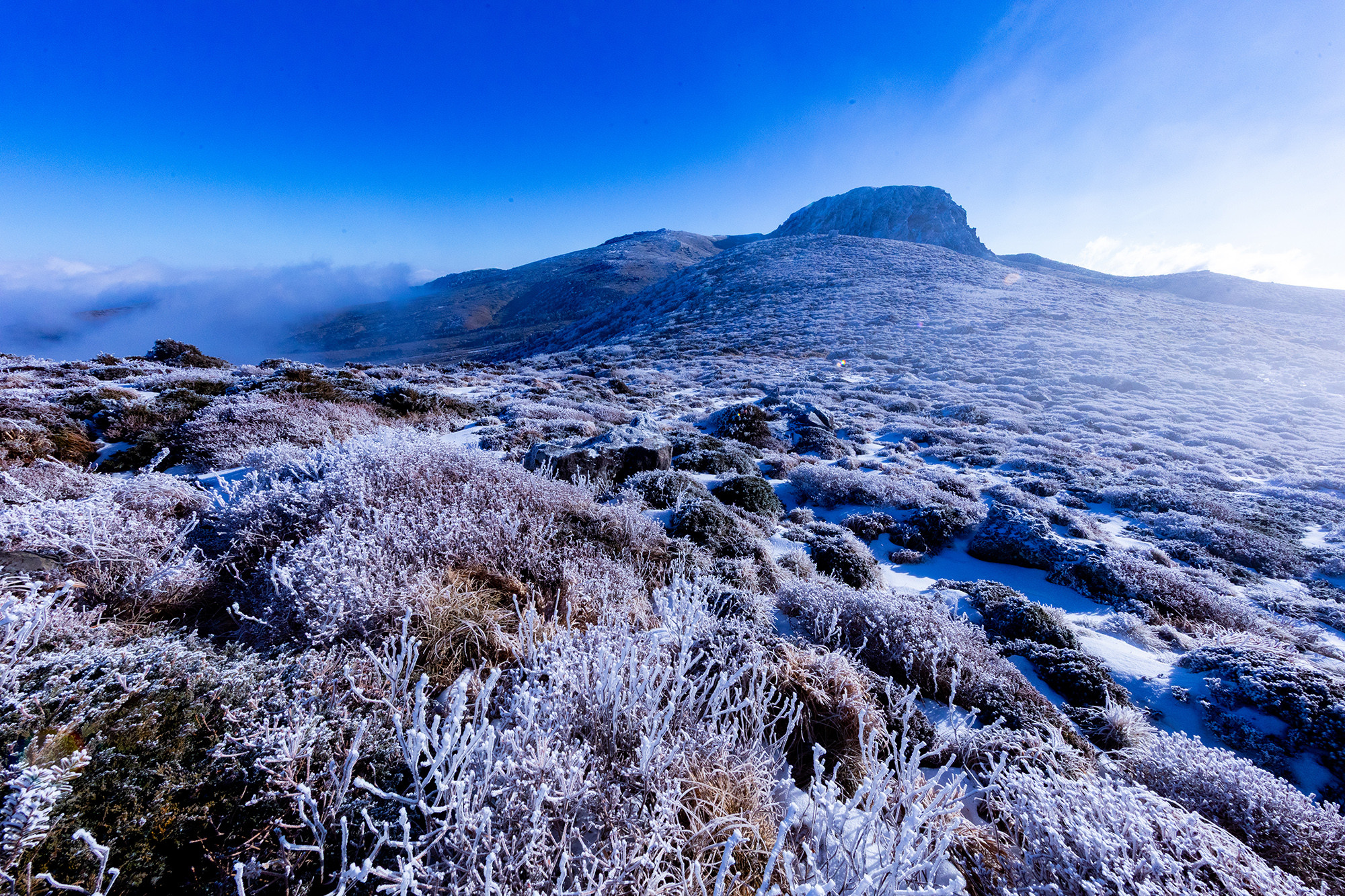 9130128edd2e55df41522427b16daf9b_1764373079_9903.jpg 9130128edd2e55df41522427b16daf9b_1764373079_9903.jpg