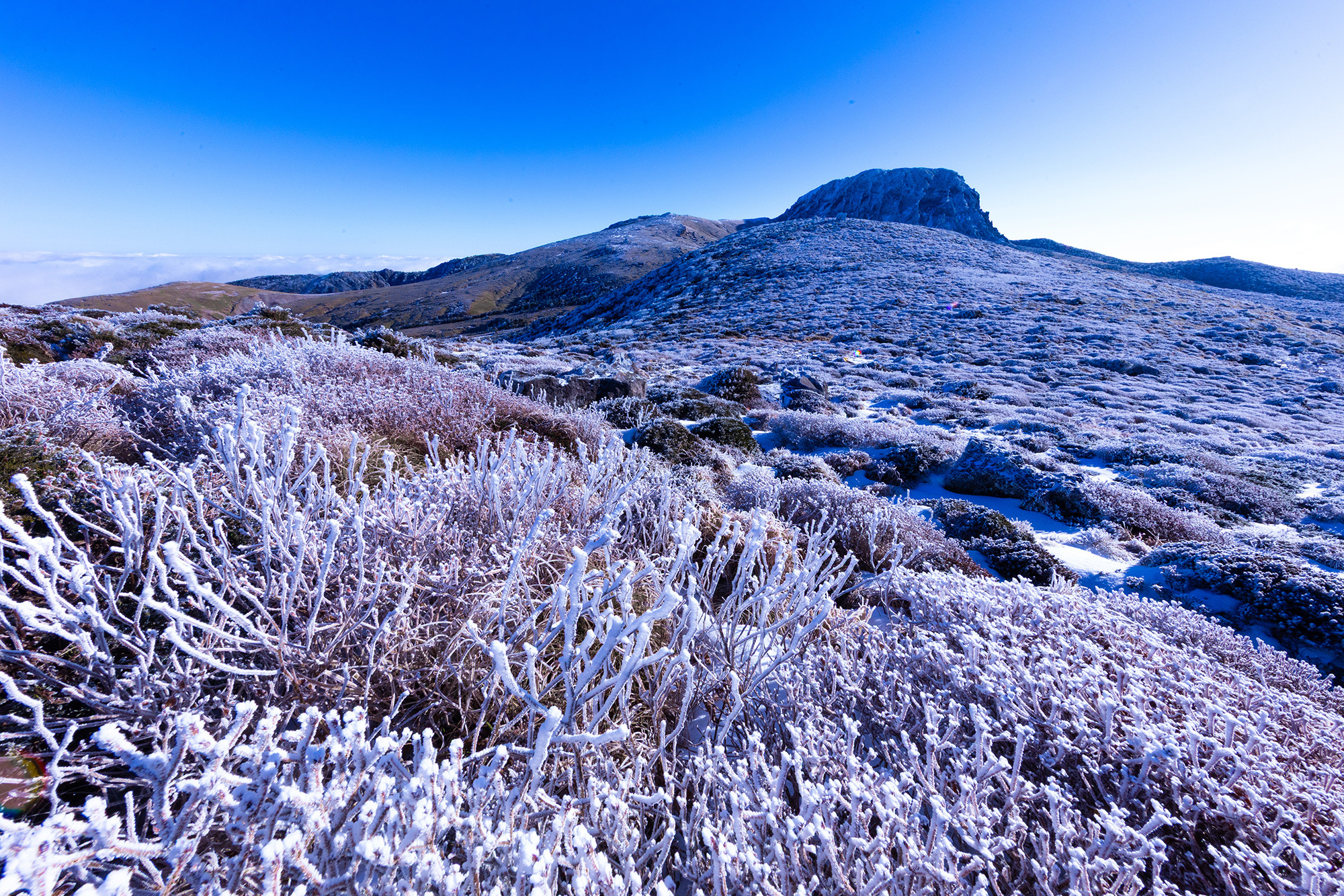 9130128edd2e55df41522427b16daf9b_1764373080_3974.jpg 9130128edd2e55df41522427b16daf9b_1764373080_3974.jpg