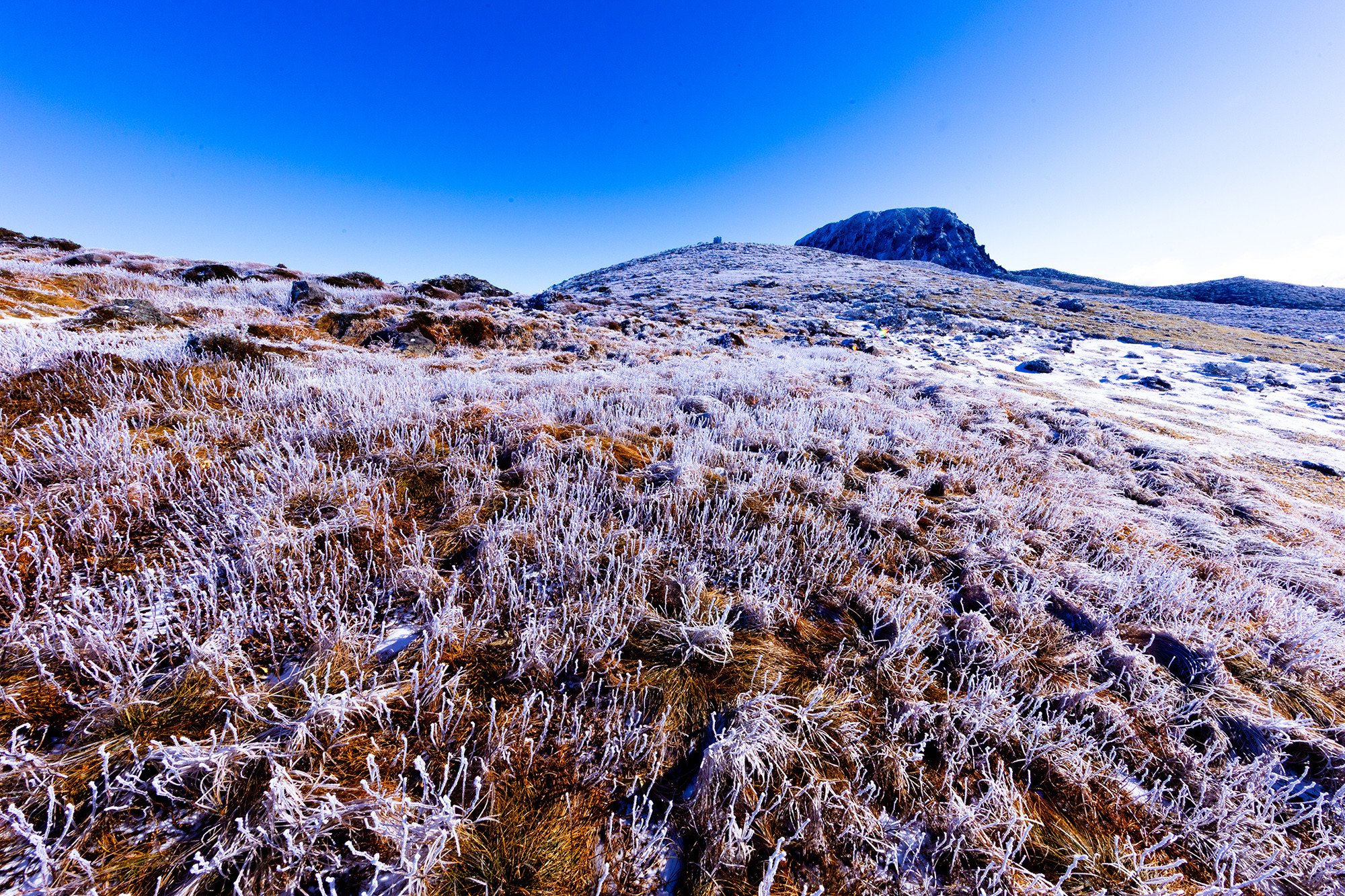 9130128edd2e55df41522427b16daf9b_1764373080_8565.jpg 9130128edd2e55df41522427b16daf9b_1764373080_8565.jpg