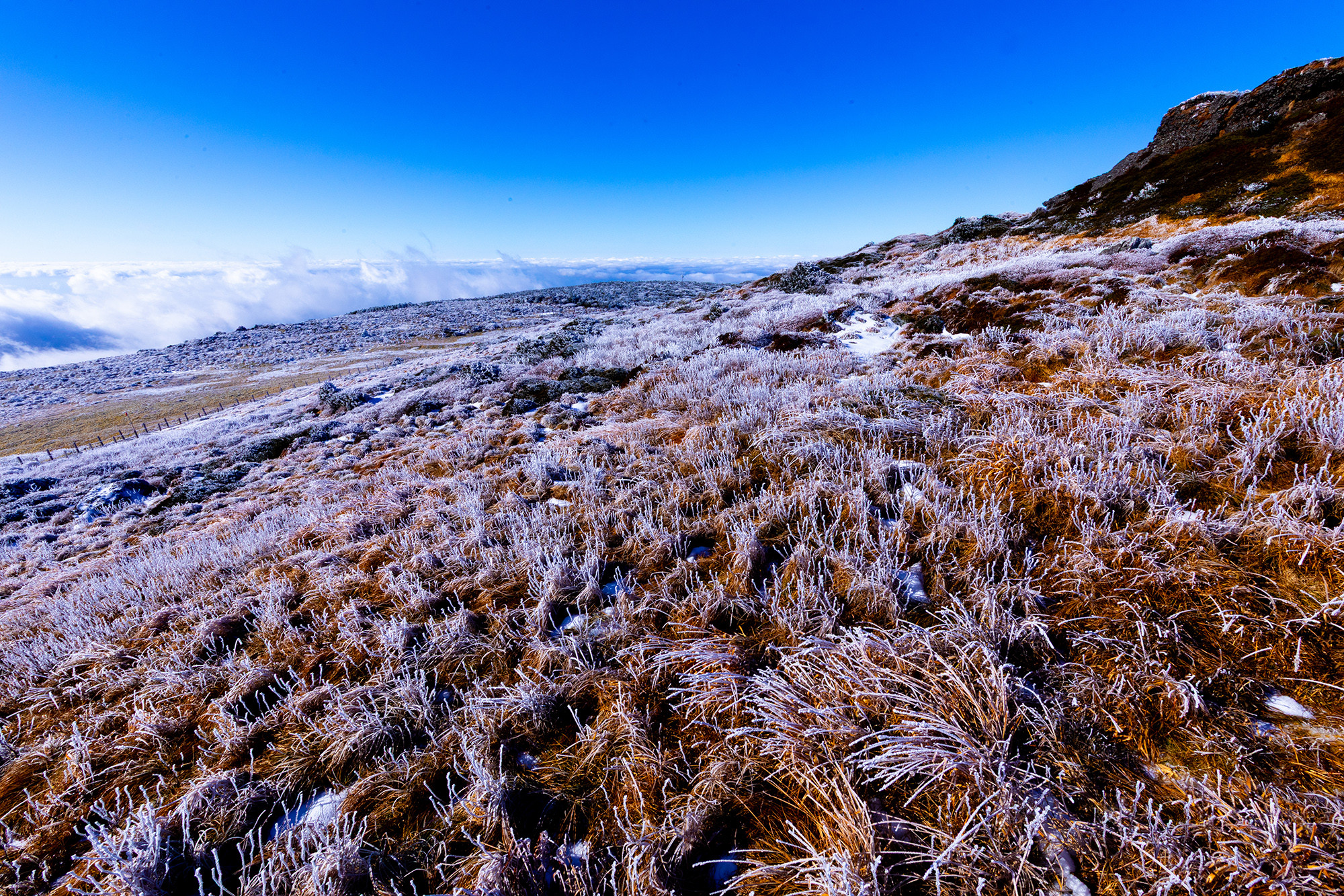 9130128edd2e55df41522427b16daf9b_1764373081_3277.jpg 9130128edd2e55df41522427b16daf9b_1764373081_3277.jpg