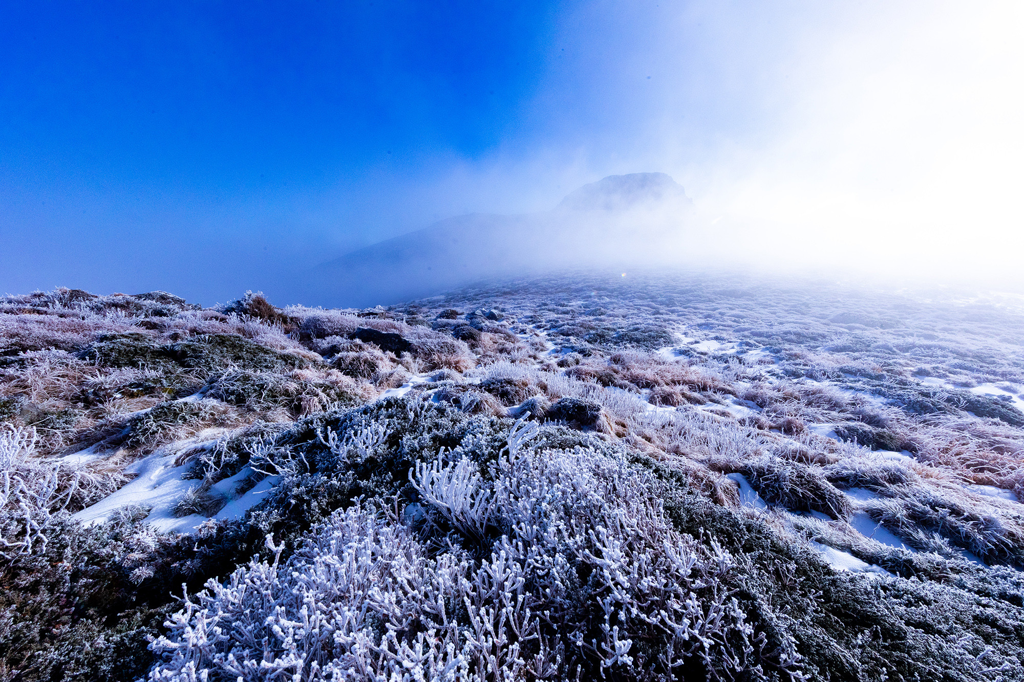 9130128edd2e55df41522427b16daf9b_1764373371_3405.jpg 9130128edd2e55df41522427b16daf9b_1764373371_3405.jpg